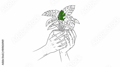 Sketch of hands holding a potted Monstera plant, symbolizing growth and nurture