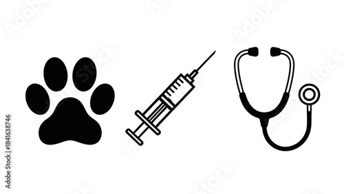 Veterinary care representation showcases a paw print syringe and stethoscope for pet wellness