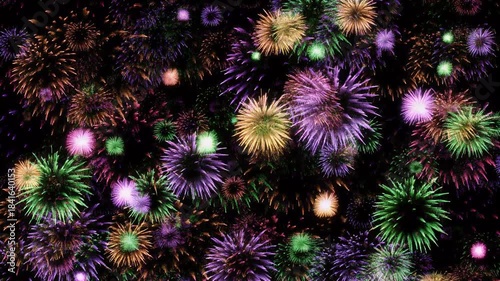 Vibrant and Colorful Fireworks Exploding in the Night Sky.