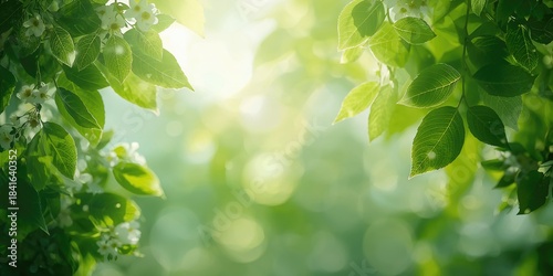 Lush green leaves from spri...
