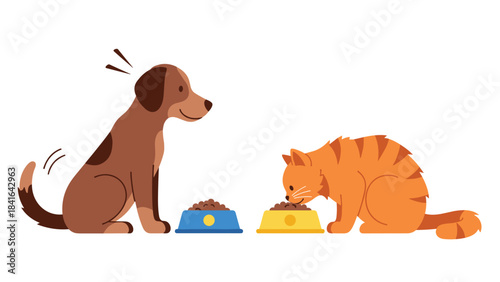 A brown dog and an orange cat eating from their food bowls on