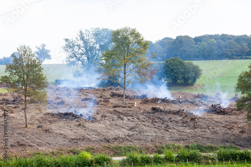 Farmer clean felling and burning natural woodland to extend his pastures, deforestation, climate change, environmental issues