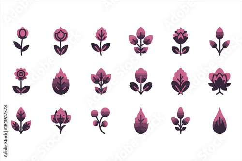 Collection of various purple flowers and buds isolated on white background