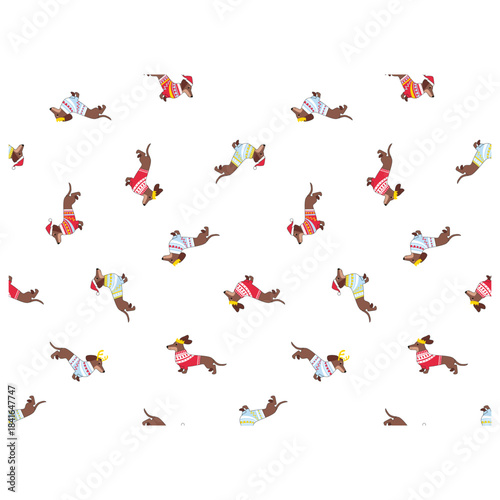 Dachshund seamless pattern with dogs in winter sweaters