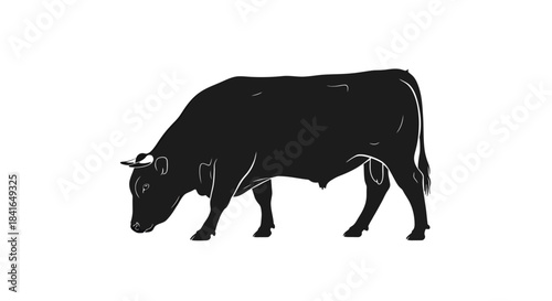 Monochrome silhouette of a muscular bull grazing peacefully in a minimalist composition