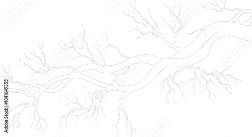 Monochrome tree branches illustration depicting nature's intricate design and elegance