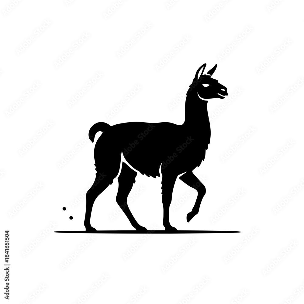 Obraz premium Llama silhouette looking back calm motion vector illustration