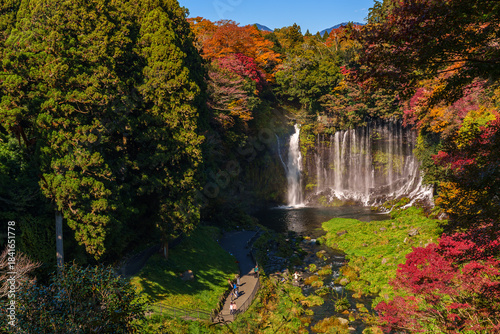 Beautiful Shiraito Waterfall in autumn, located in Yamanashi Prefecture, Japan.