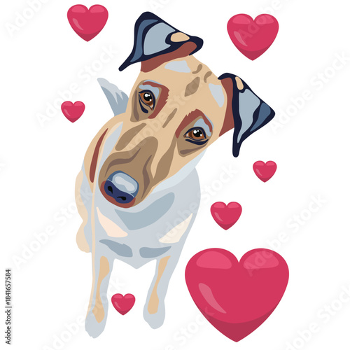 Illustration of a smooth fox terrier with pink hearts on a white background