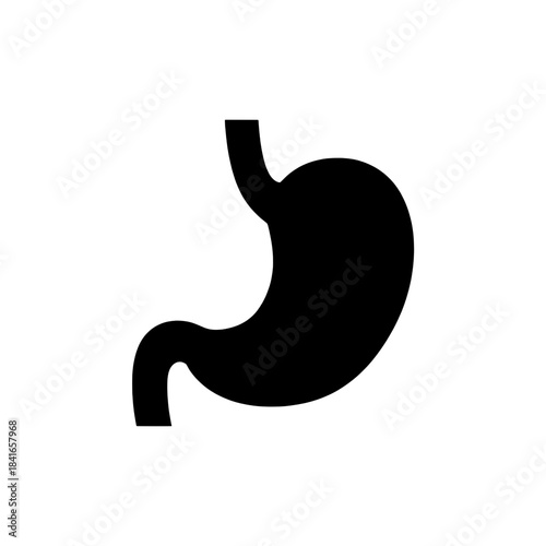 Human stomach organ silhouette icon, representing digestion, gut health, and medical anatomy.