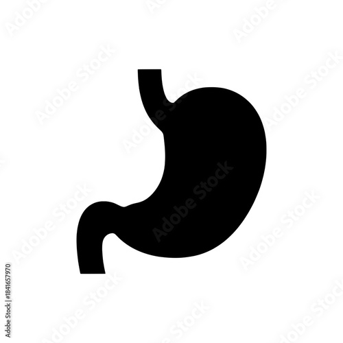 Human stomach organ silhouette icon, representing digestion, gut health, and medical anatomy.