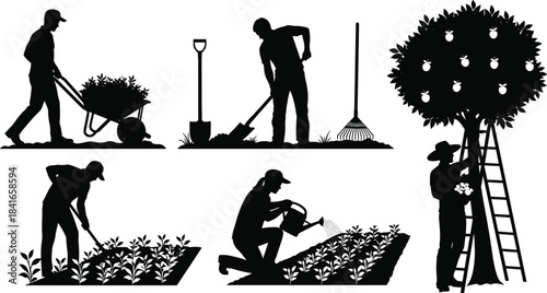 Gardening activity silhouettes of farmers working in fields, planting, watering, harvesting vegetables and fruit trees, agriculture labor illustration showing tools, outdoor 