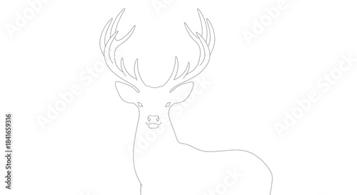 Elegant stag outline drawing: a simple and refined design of a majestic deer illustration