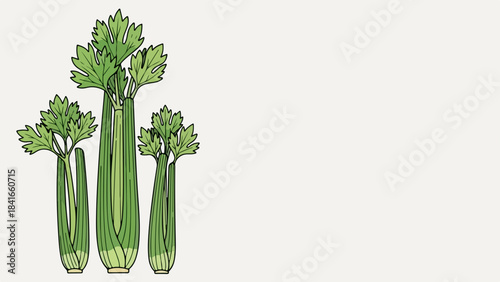 Green celery stalks illustration on light background, depicting healthy fresh vegetable food. Celery stalks are rich in vitamins, commonly used for cooking and diet recipes.