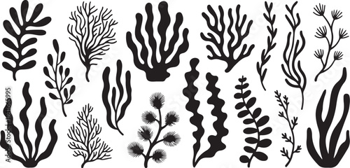 Collection of black coral reef illustrations on white