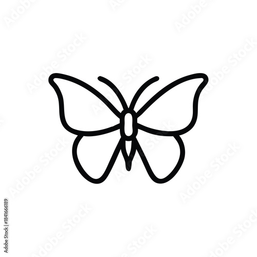 butterfly, monarch, insect, nature, wings, delicate, symmetry, flight, wildlife, garden,