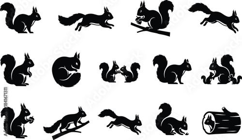 Squirrel silhouettes, animal poses, black icons, wildlife behavior, climbing, sitting, eating, vector illustration, forest creatures, nature, playful movementSquirrel silhouettes, animal poses, 