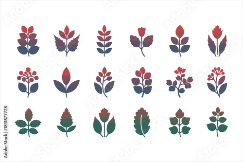 Collection of various colorful leaves and flowers isolated on white background