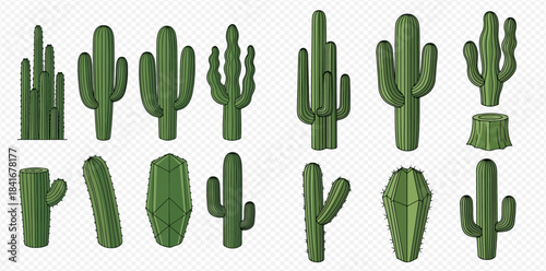 Collection of various green cactus plants in different shapes and sizes on a transparent background.
