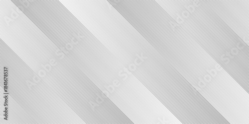 Geometric diagonal oblique vector curve gradient black and white graphic stripe line. Repeated fine diagonal lines Thin slash line stripes diagonal vector elegant background