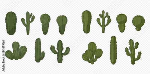 Set of various green desert cacti and succulent plants on transparent background.