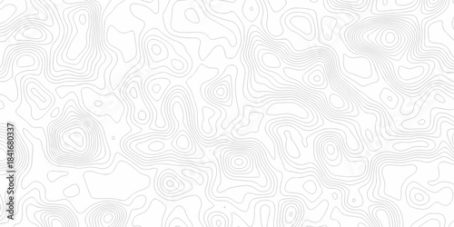 Minimal area white line geometric grid topo map outline. paper curve counter map and wavy topography. relief discovery area white, black line texture background.