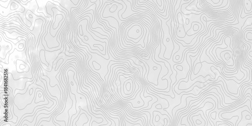 White topography topology vector white background fresh contour map texture. white seamless pattern Abstract background with a wave Topography and geography map grid abstract backdrop.