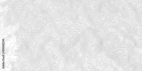 White topography topology vector white background fresh contour map texture. white seamless pattern Abstract background with a wave Topography and geography map grid abstract backdrop.