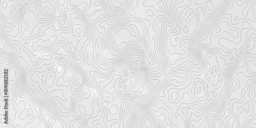 White topography topology vector white background fresh contour map texture. white seamless pattern Abstract background with a wave Topography and geography map grid abstract backdrop.