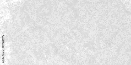White topography topology vector white background fresh contour map texture. white seamless pattern Abstract background with a wave Topography and geography map grid abstract backdrop.