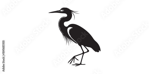 Heron Silhouette Standing on One Leg