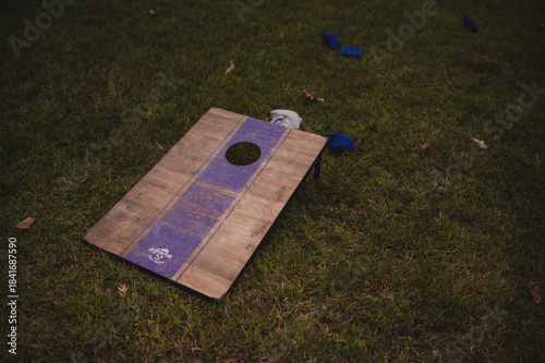 Cornhole Board in the grass