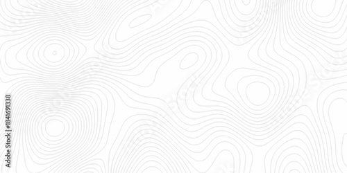 White topography topology vector white background fresh contour map texture. white seamless pattern Abstract background with a wave Topography and geography map grid abstract backdrop.