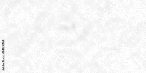 White topography topology vector white background fresh contour map texture. white seamless pattern Abstract background with a wave Topography and geography map grid abstract backdrop.