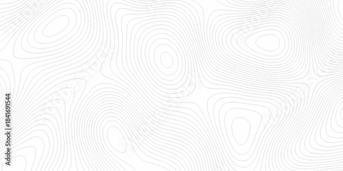 White topography topology vector white background fresh contour map texture. white seamless pattern Abstract background with a wave Topography and geography map grid abstract backdrop.