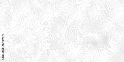 White topography topology vector white background fresh contour map texture. white seamless pattern Abstract background with a wave Topography and geography map grid abstract backdrop.