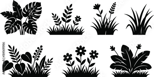 Garden plant silhouette set for botanical illustrations, landscaping graphics and nature design projects