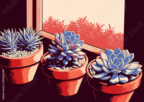 Assorted Succulent Plants Collection in Clay Pots Display