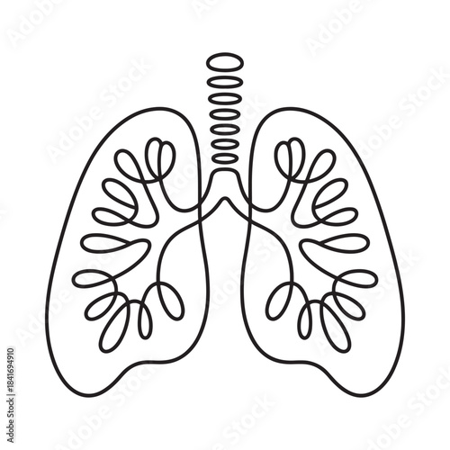 Continuous line drawing of human lungs and trachea, illustrating the respiratory system