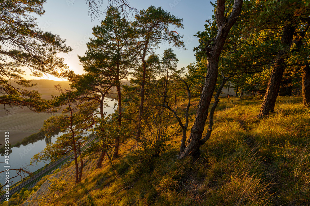 Fototapeta premium Abendlicht über dem Naturschutzgebiet Grainberg-Kalbenstein bei Karlstadt am Main, Landkreis Main-Spessart, Unterfranken, Bayern, Deutschland