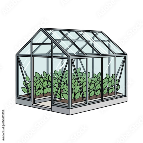 A detailed illustration of a glass greenhouse filled with rows of healthy green plants growing in soil beds.