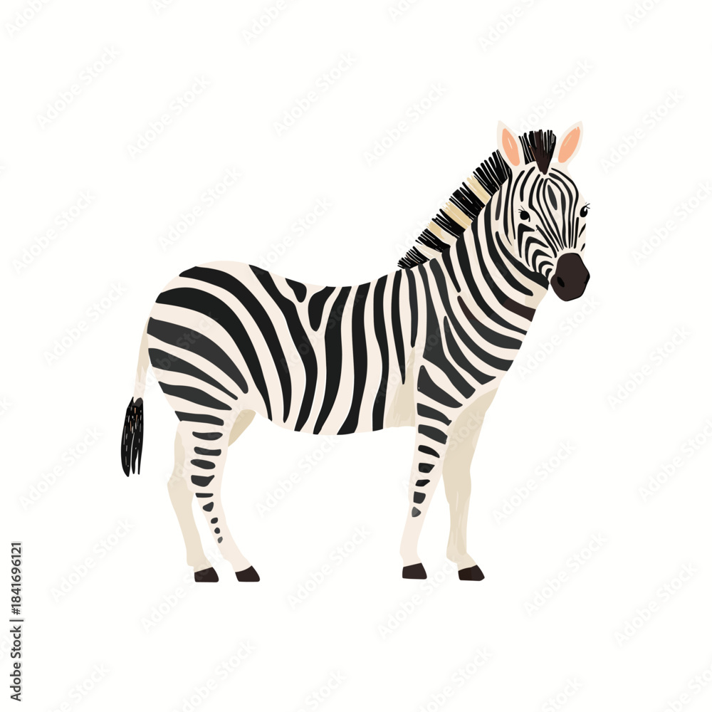 Naklejka premium Vector illustration of a zebra isolated on a white background
