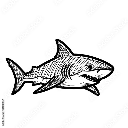 Sketch of a shark swimming gracefully in ocean waters  