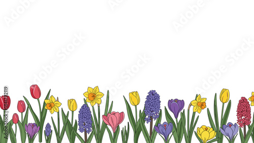 Colorful floral border with tulips daffodils and grape hyacinths