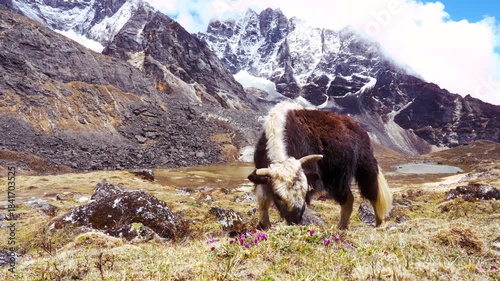 Cinematic Camera Footage of the Nepal Himalaya – Pure Nature, Peaks, and Mountain Atmosphere