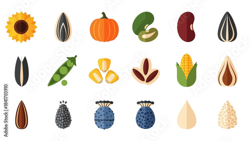 Variety of seeds and grains isolated on white background for design