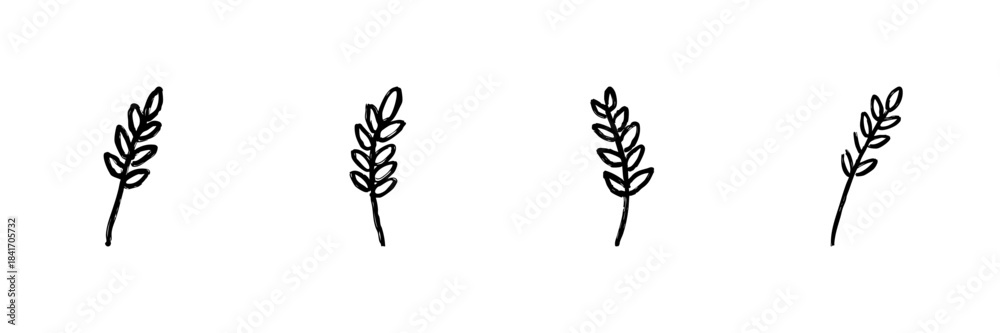 Fototapeta premium Four Wheat Stalks Line Icon Set In Doodle Style. Agriculture, Harvest, And Farming Symbol Outline Sketch Collection. Natural And Organic Food Representation. Hand Drawn Isolated Vector Illustration