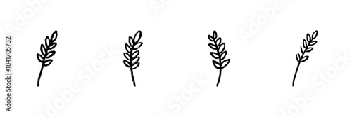 Four Wheat Stalks Line Icon Set In Doodle Style. Agriculture, Harvest, And Farming Symbol Outline Sketch Collection. Natural And Organic Food Representation. Hand Drawn Isolated Vector Illustration