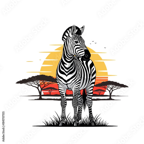 Zebra Standing in African Savannah Landscape at Sunset, Vector Illustration