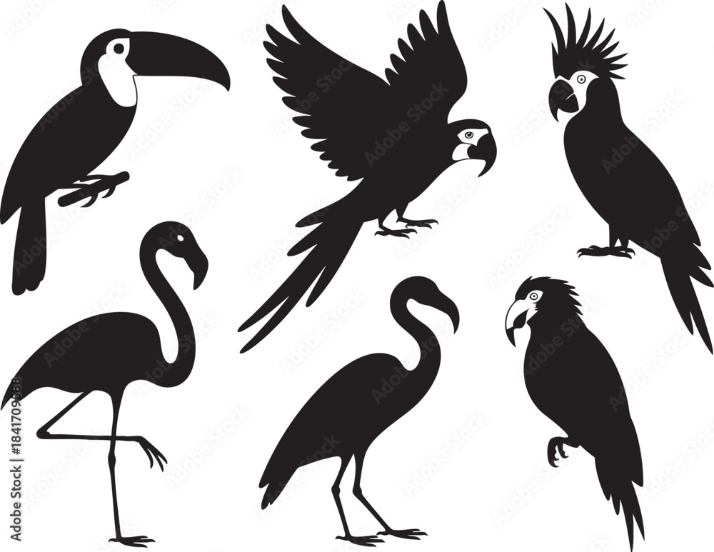 Fototapeta premium Black silhouettes of toucan flamingo cockatoo and parrots on white background bird